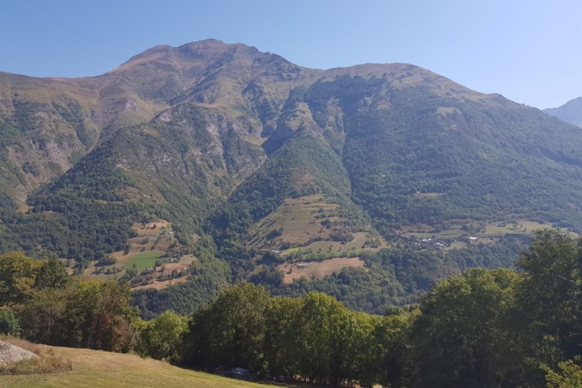 Photo n° 11 de la location