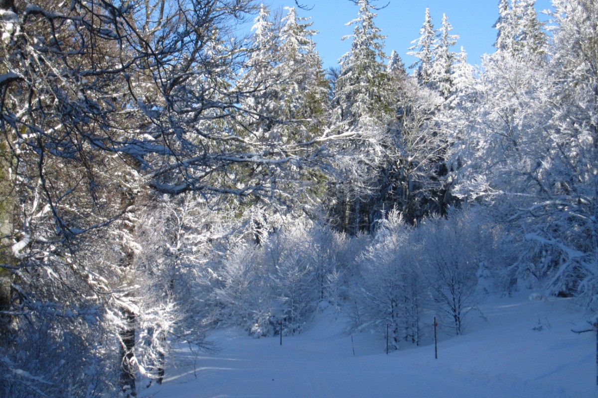 Station de ski du lac blanc