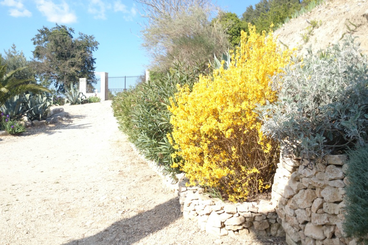 Photo n° 14 de la location