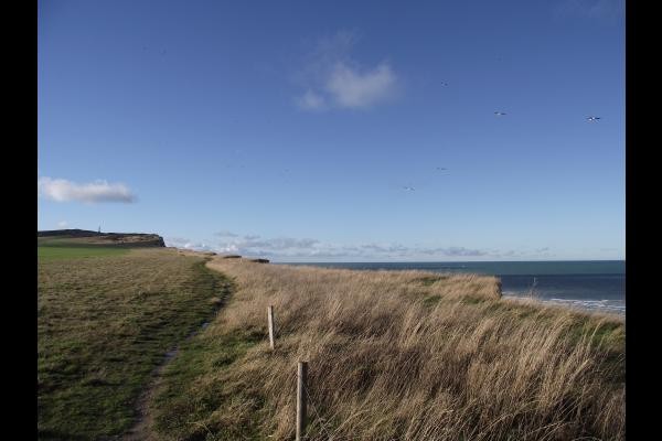 Photo n° 11 of the location