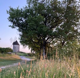 Self-catering cottage for 5 people in Lot-et-Garonne