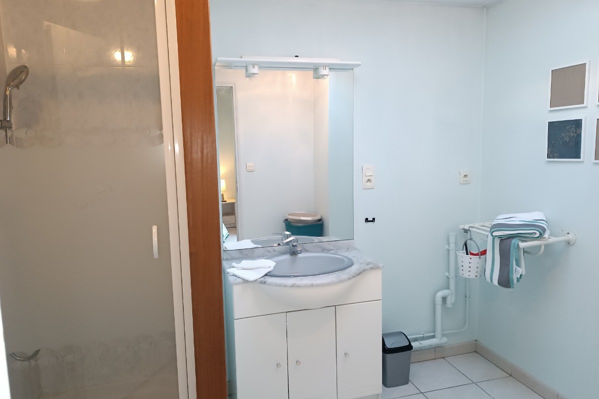 Salle de douche - Appartement Rez de chaussée