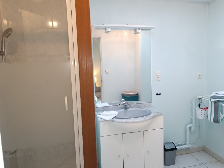 Salle de douche - Appartement Rez de chaussée