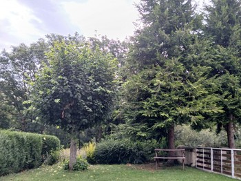Mazoires - Cézallier - Jardin