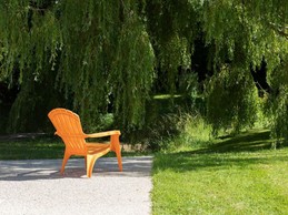 Image n° 2 de la location