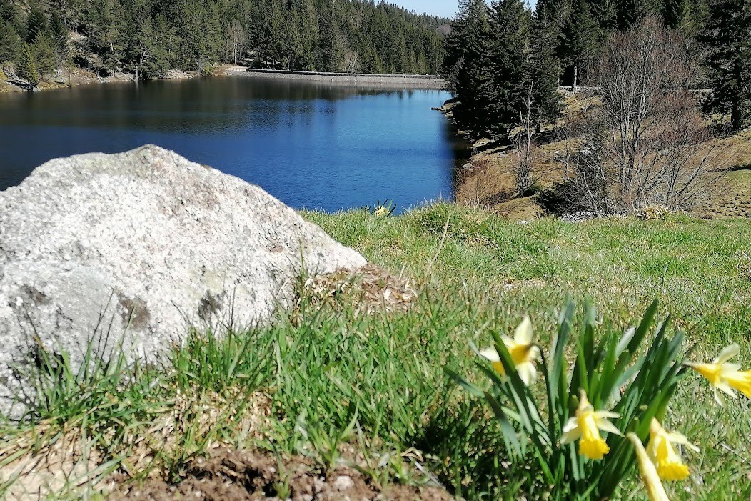 Lac du Forlet au printemps