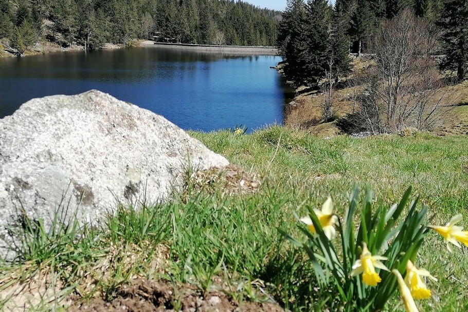 Lac du Forlet au printemps