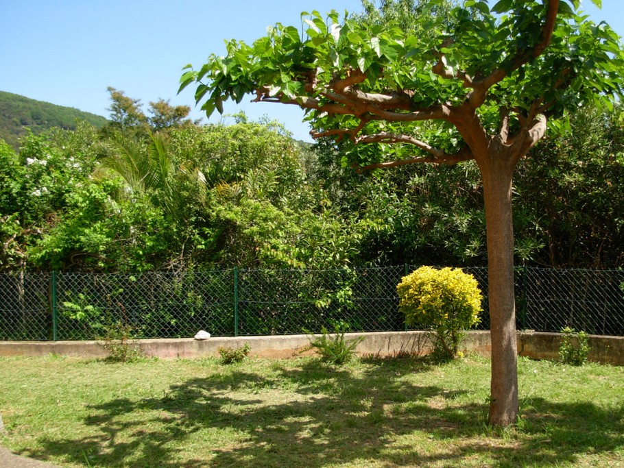 Photo n° 4 de la location