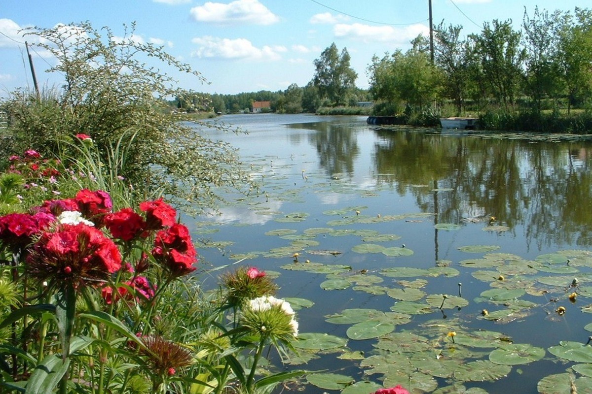 Le marais audomarois