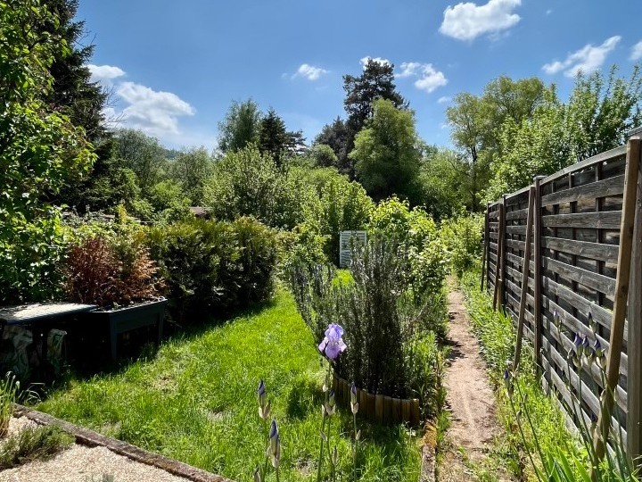 Jardin - Gîte Escapade Vosgienne Celles-sur-Plaine, Vosges