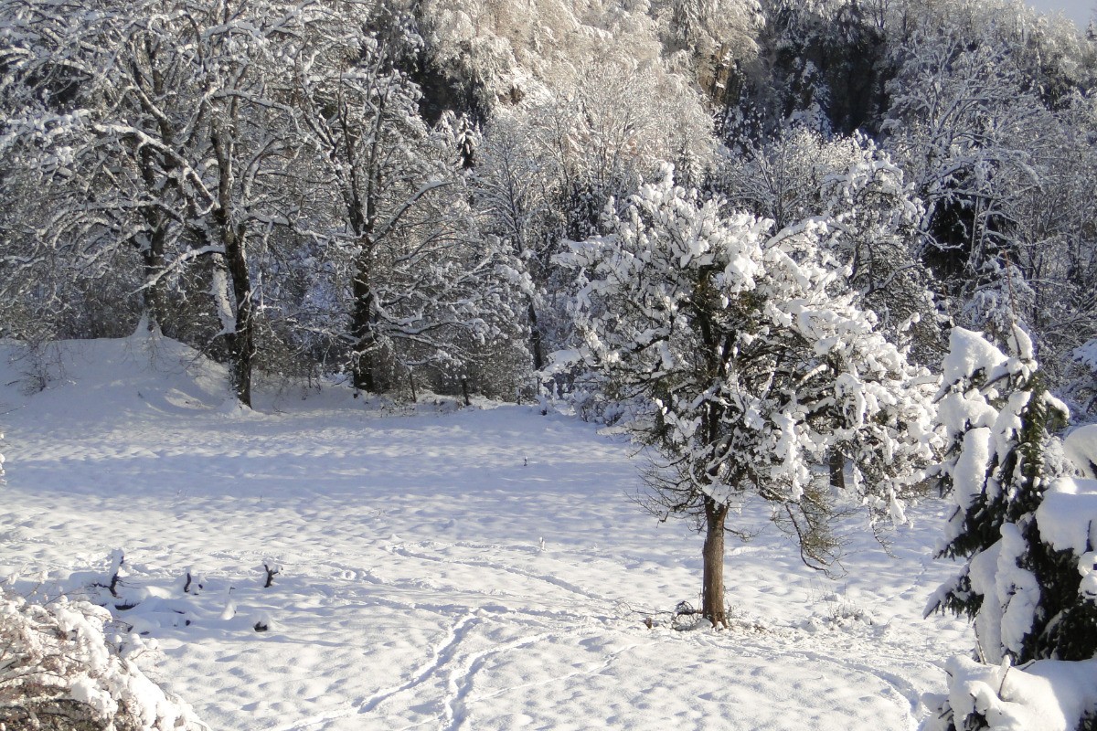 Depuis la terrasse en hiver