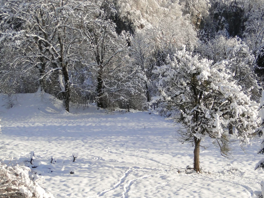 Depuis la terrasse en hiver