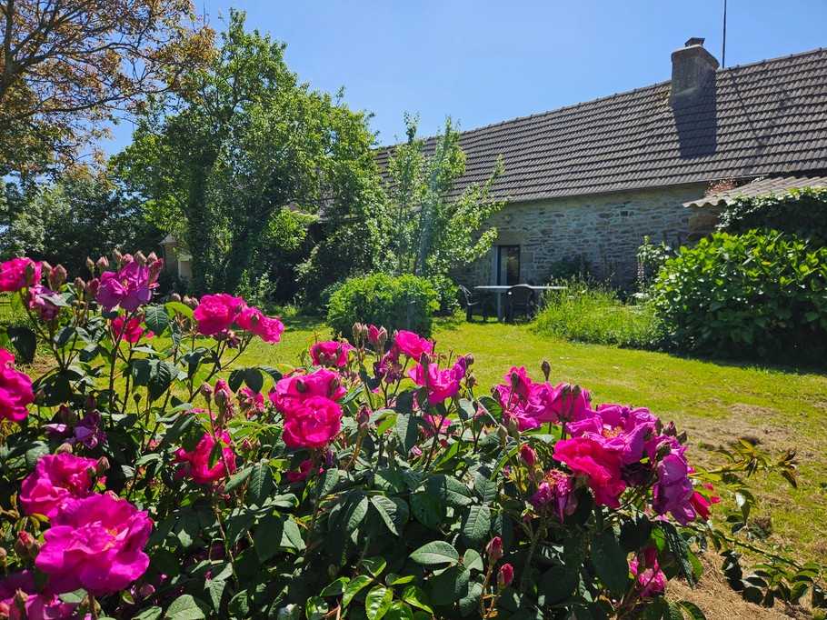 Photo n° 2 of the location