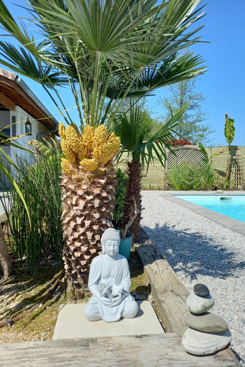 ZEN