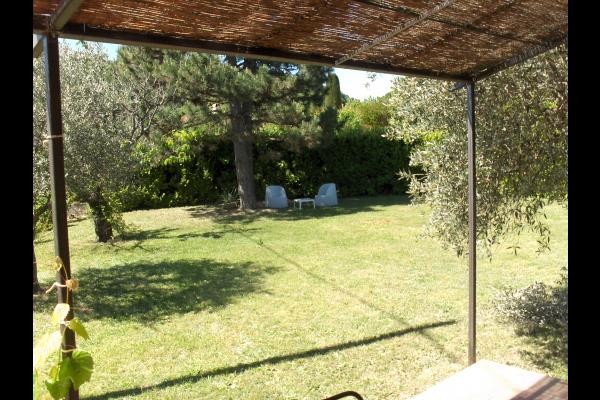 jardin