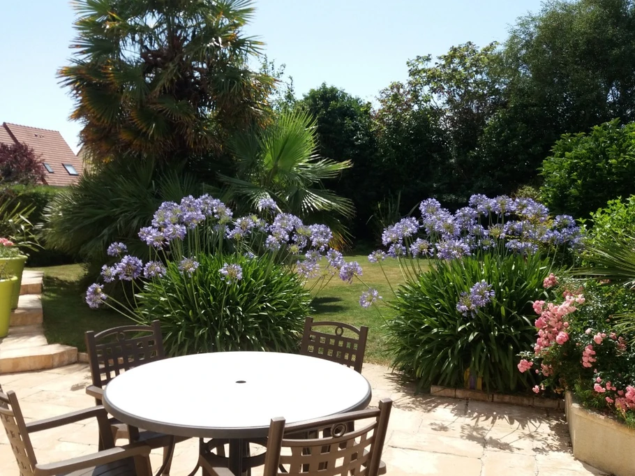 South-facing garden
