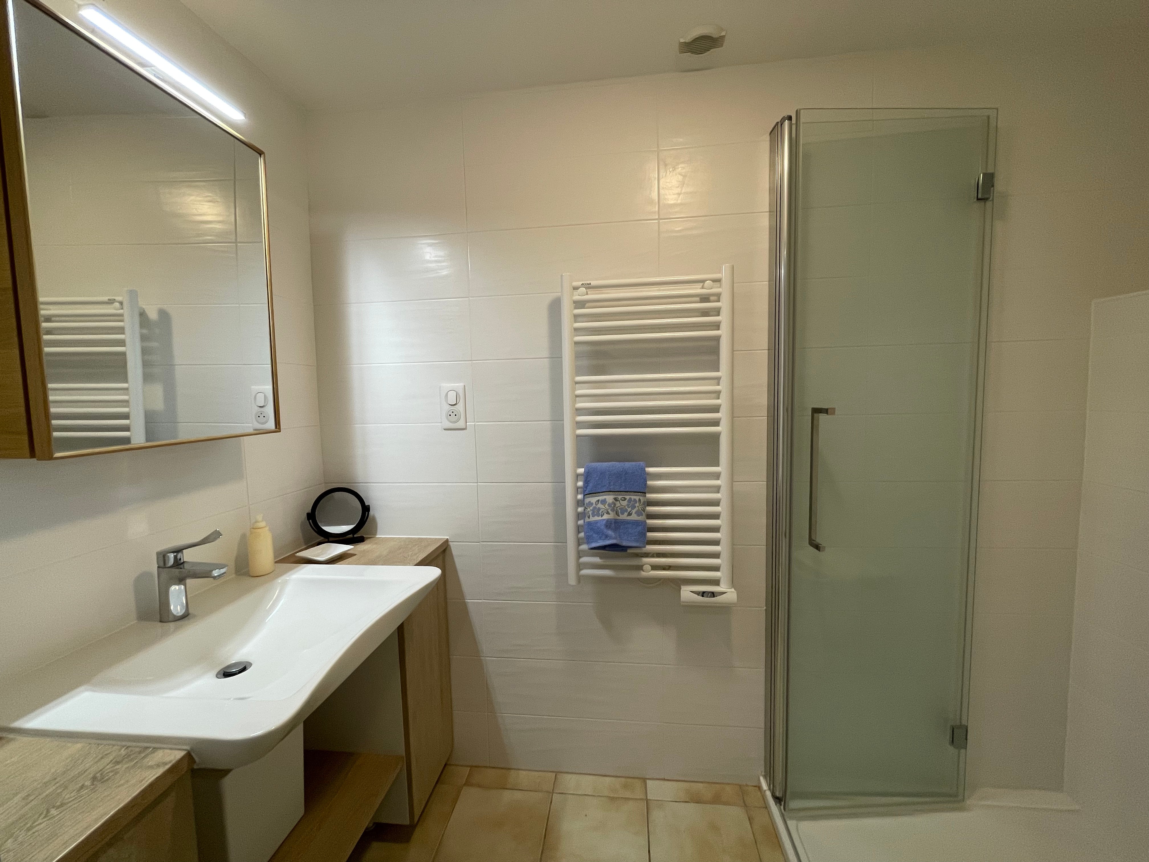 On the ground floor: a bathroom with a walk-in shower and a separate toilet