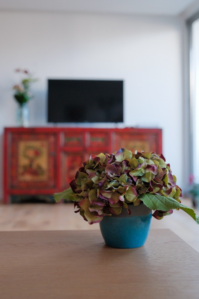 Photo n° 7 de la location