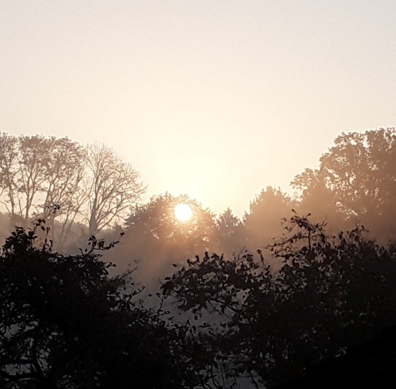 Photo n° 20 de la location