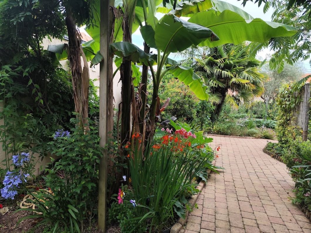 Photo n° 11 de la location