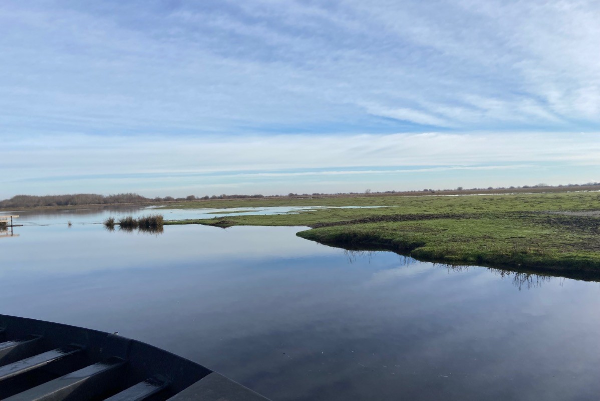 Le marais de Brière
