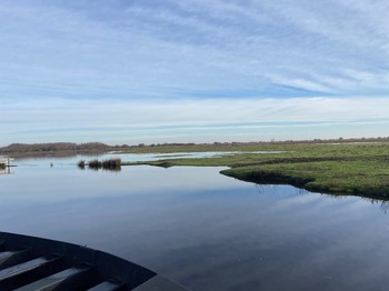 Le marais de Brière
