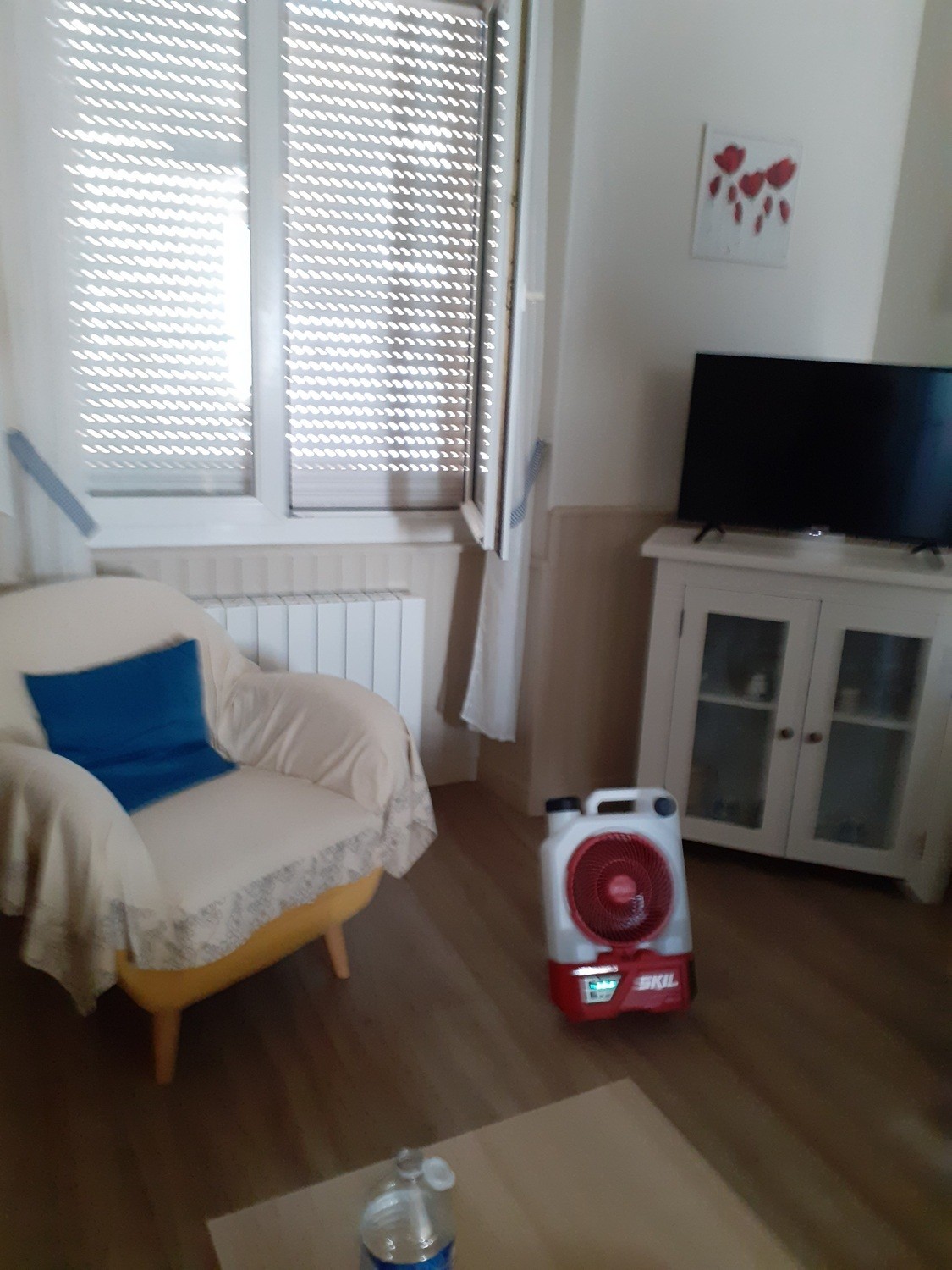 Séjour-salon  - ventilateur