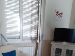 Living room - fan