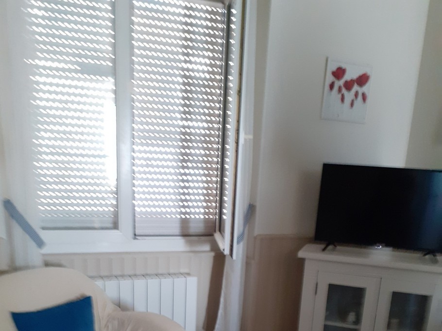 Living room - fan