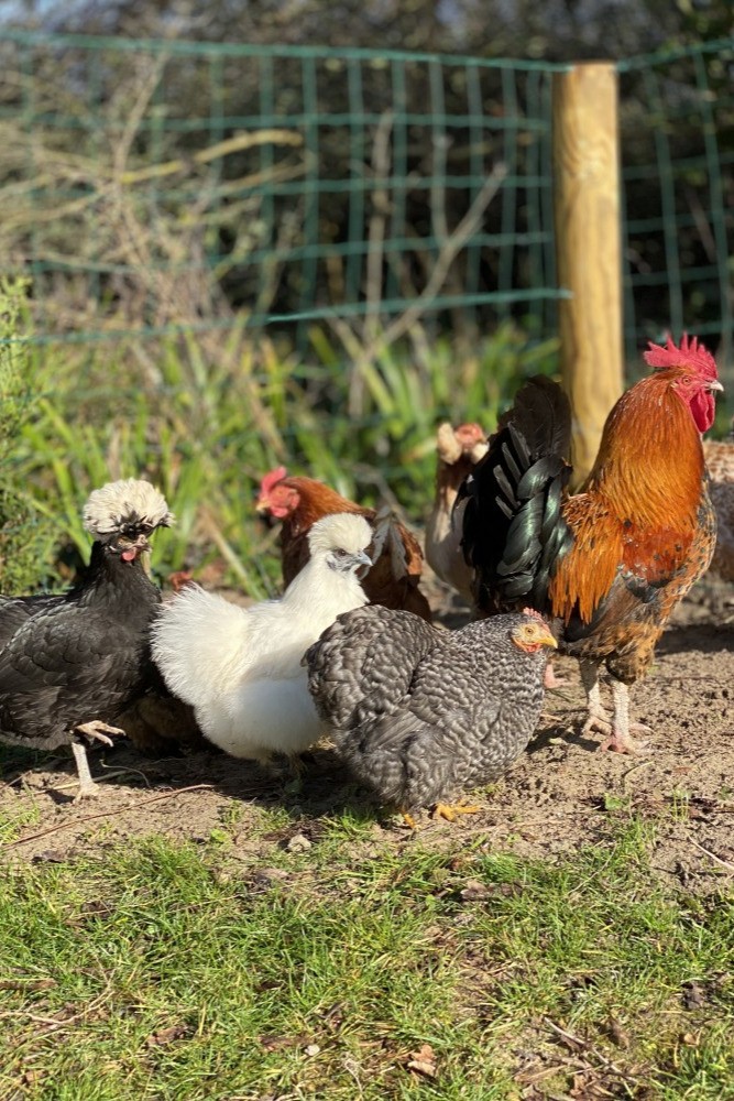 Photo n° 17 de la location