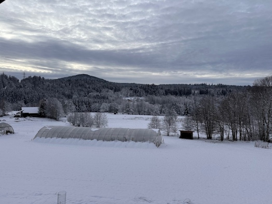 Vue depuis le balcon - Chalet Plume d'eau