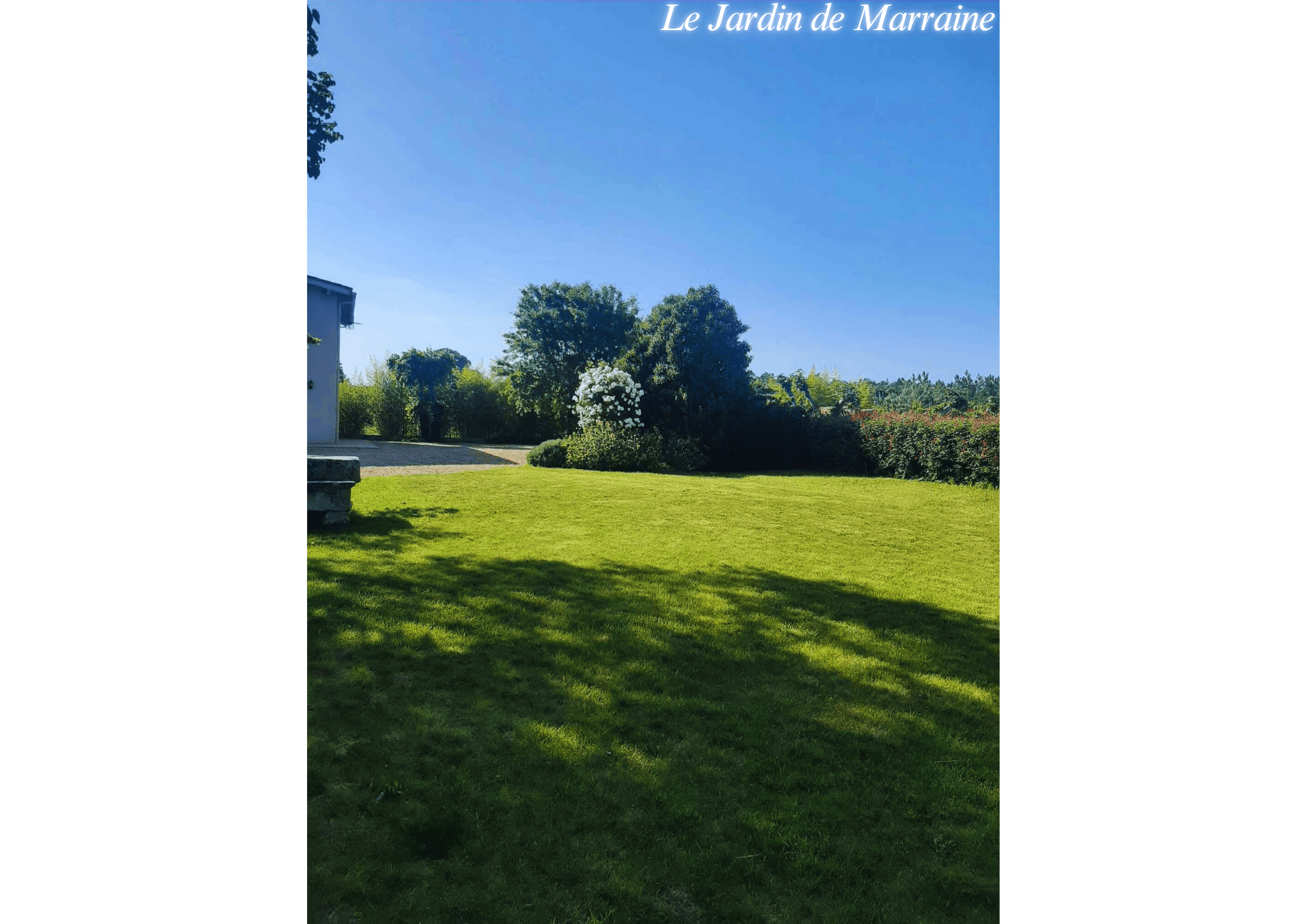 Le jardin