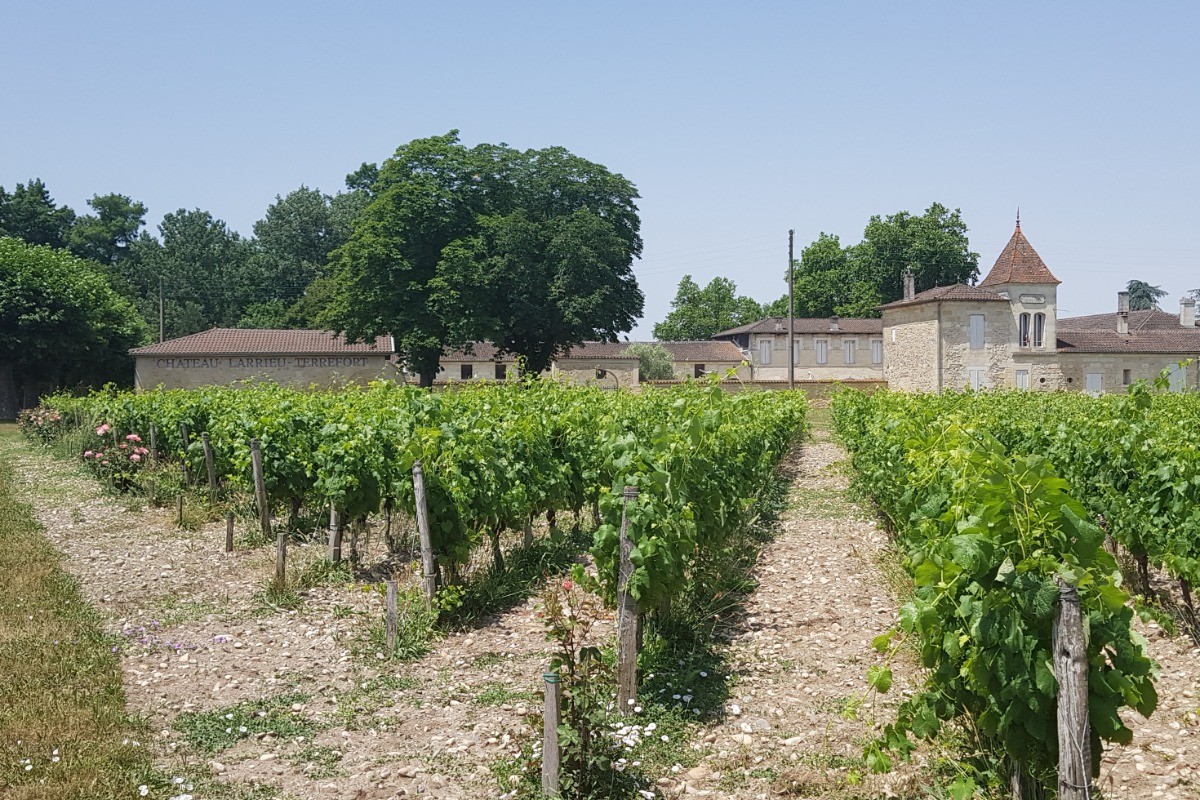 Château LARRIEU-TERREFORT