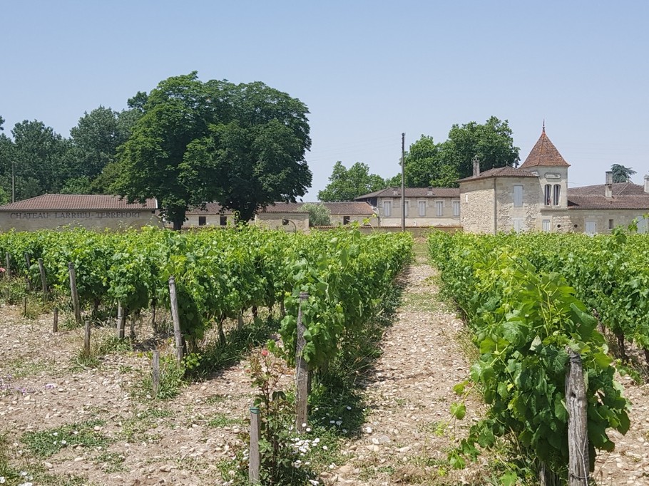 Château LARRIEU-TERREFORT