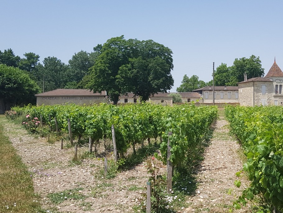 Château LARRIEU-TERREFORT