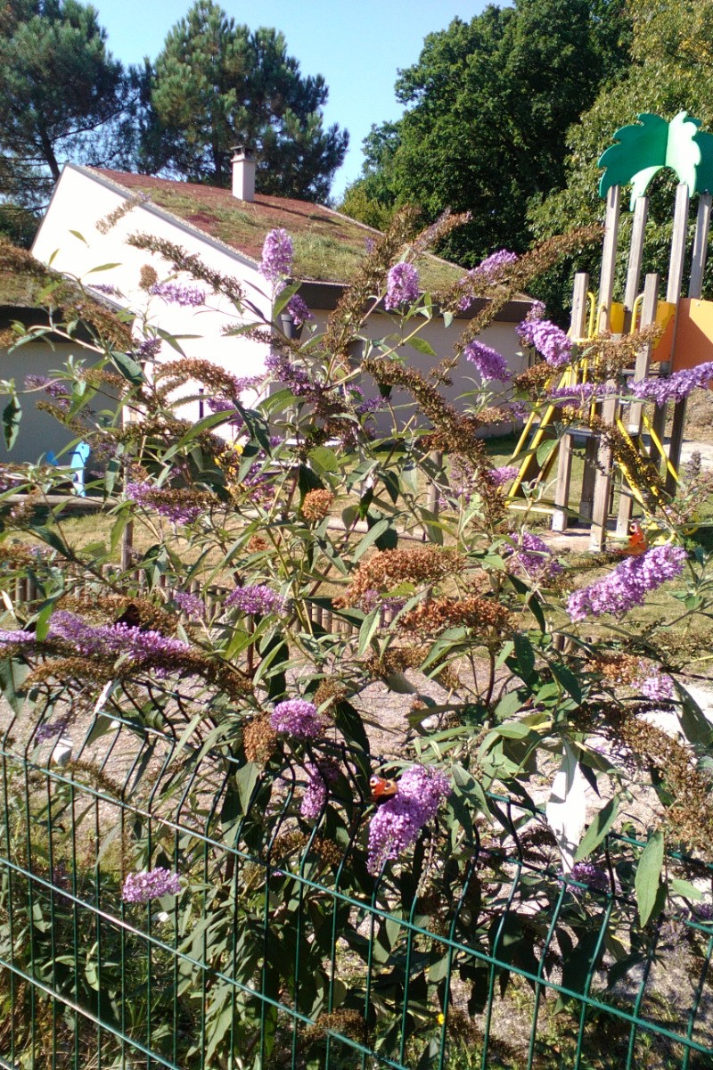 Photo n° 14 of the location