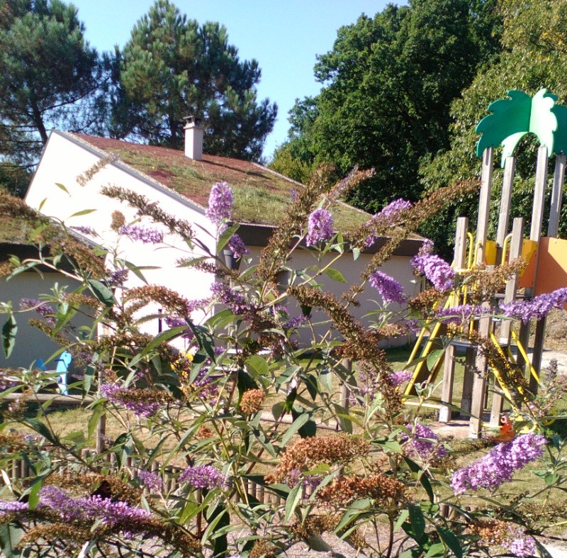 Photo n° 14 of the location