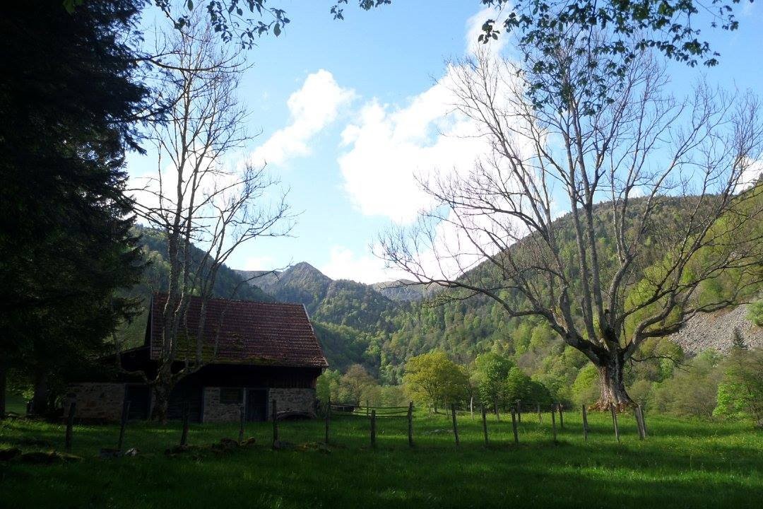 Un petit coin de paradis dans le village