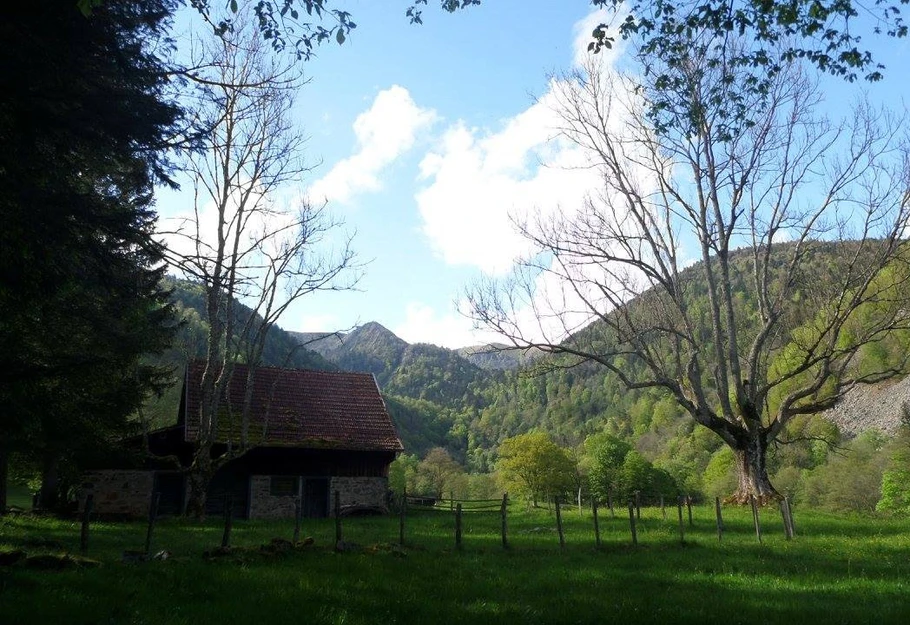 Un petit coin de paradis dans le village