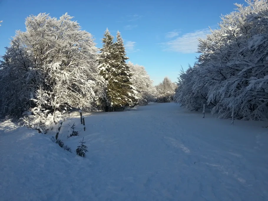 Photo n° 19 de la location