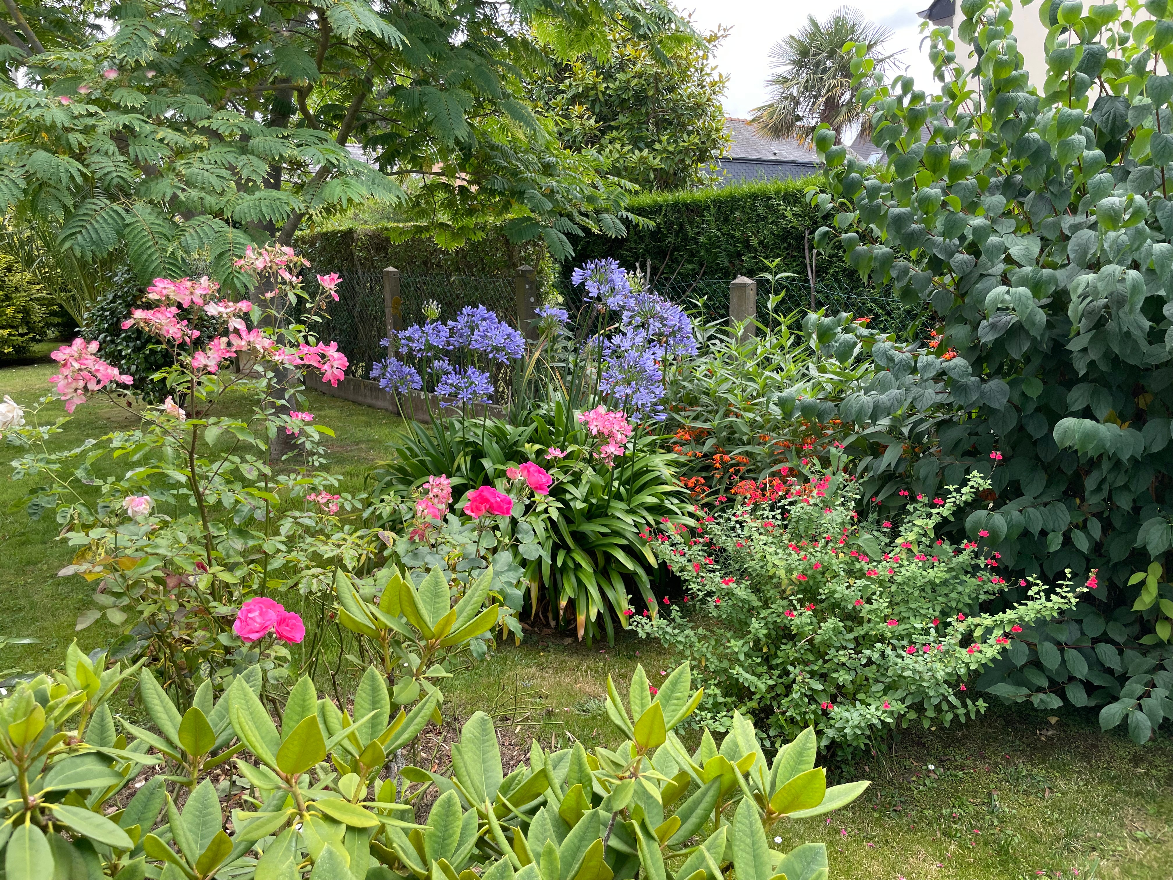 Le jardin vu du Nord