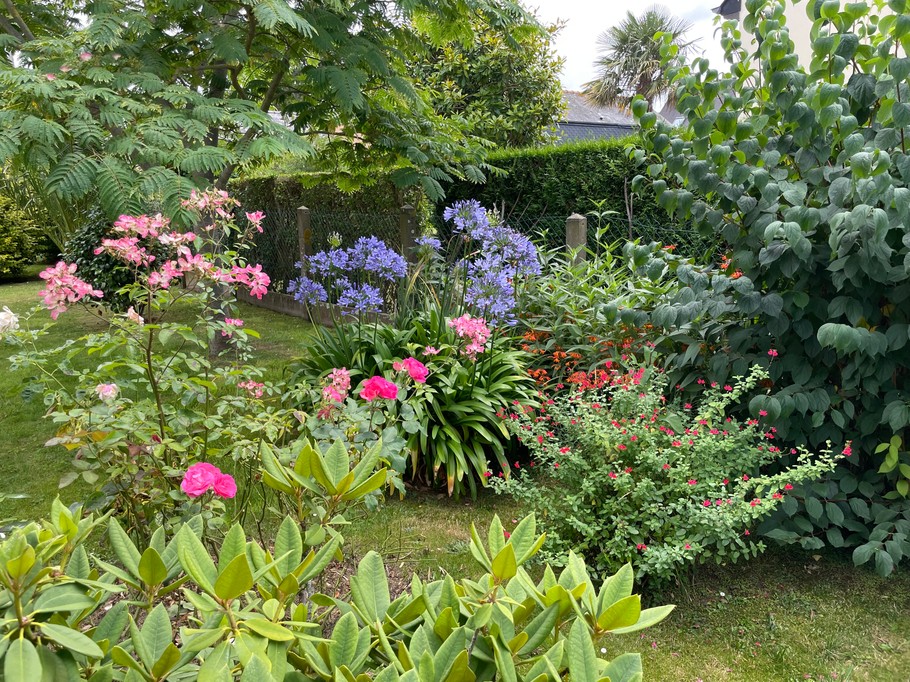 Le jardin vu du Nord