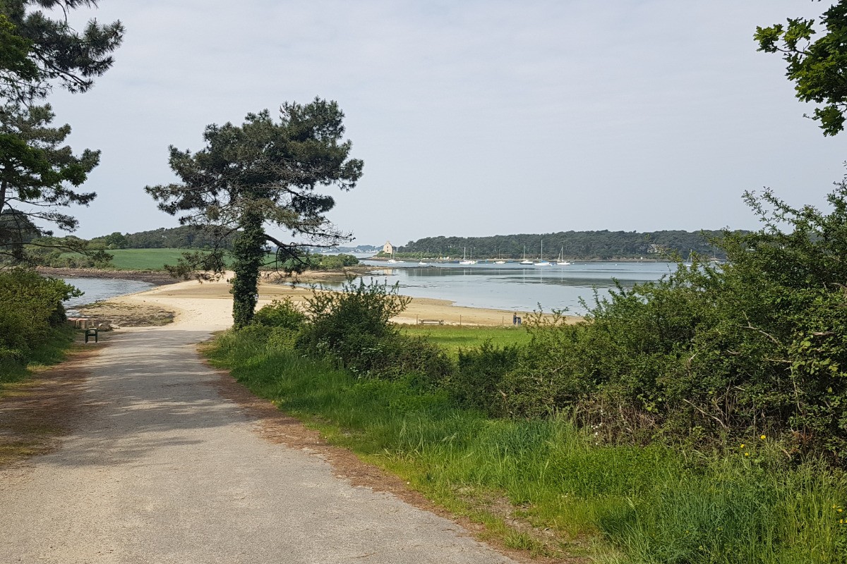 Photo n° 20 de la location