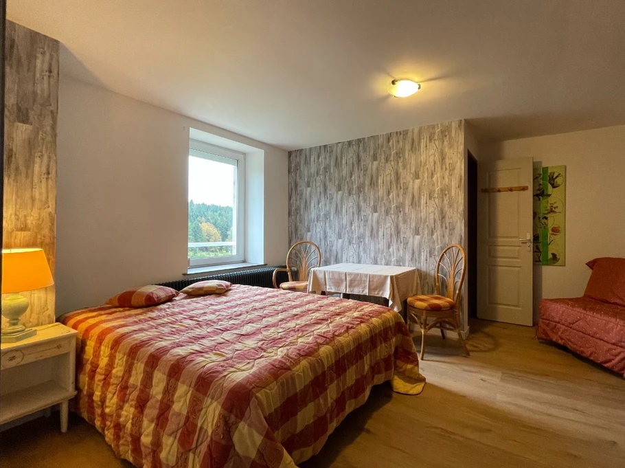 Chambre n°2 avec salle d'eau - Ferme La Vigotte