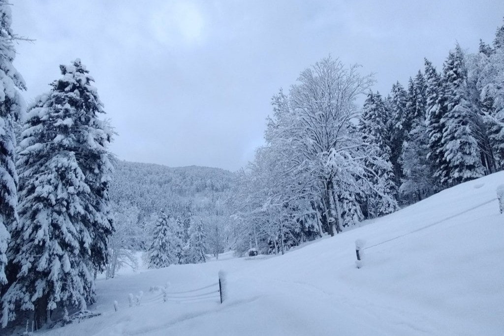 Photo n° 20 of the location