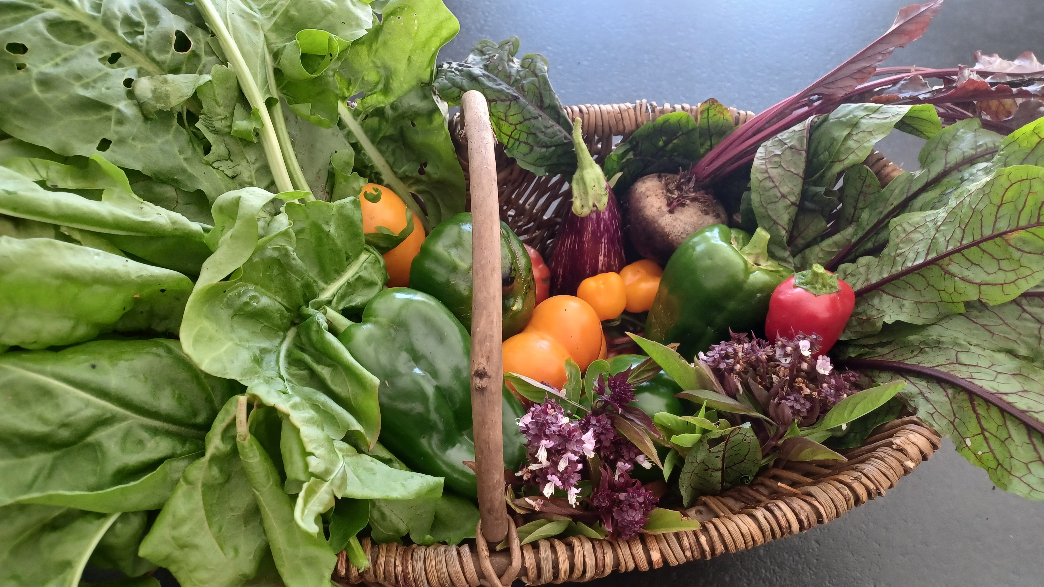 Photo n° 12 de la location