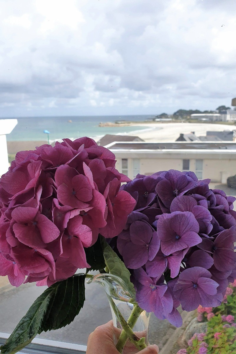 Vue imprenable sur la plage
