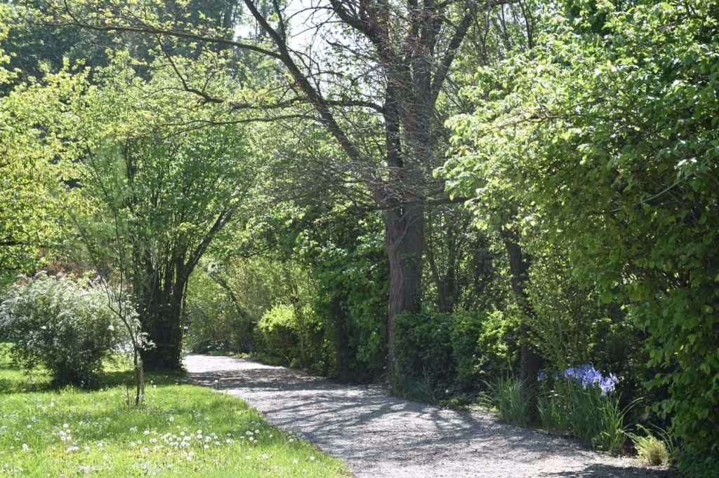 jardin
