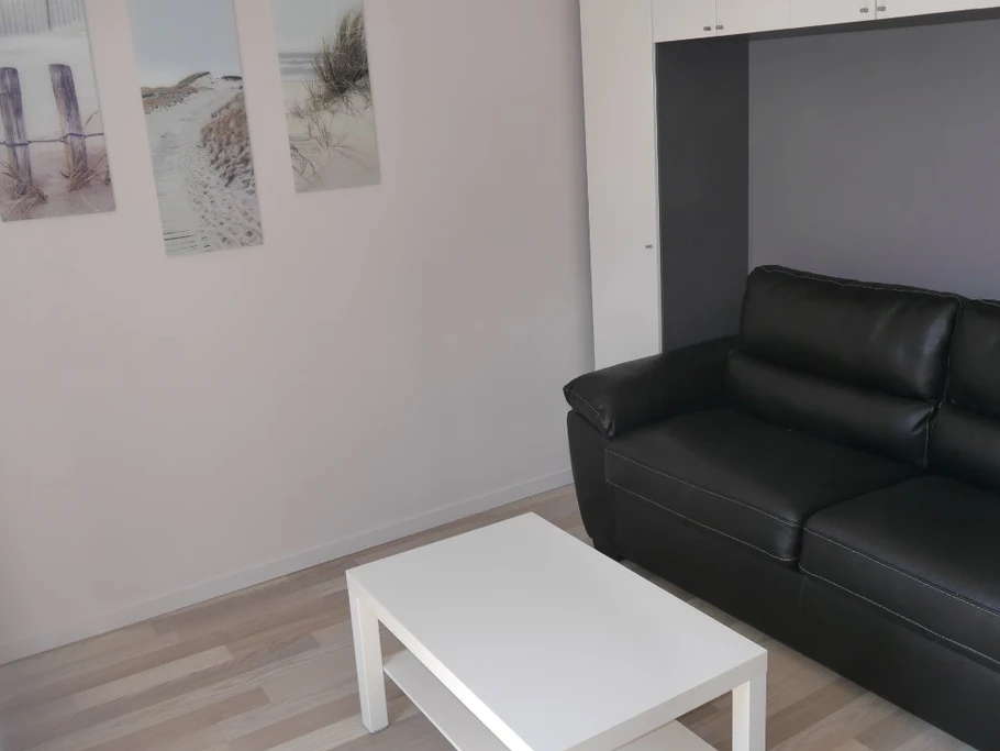 le salon et son convertible