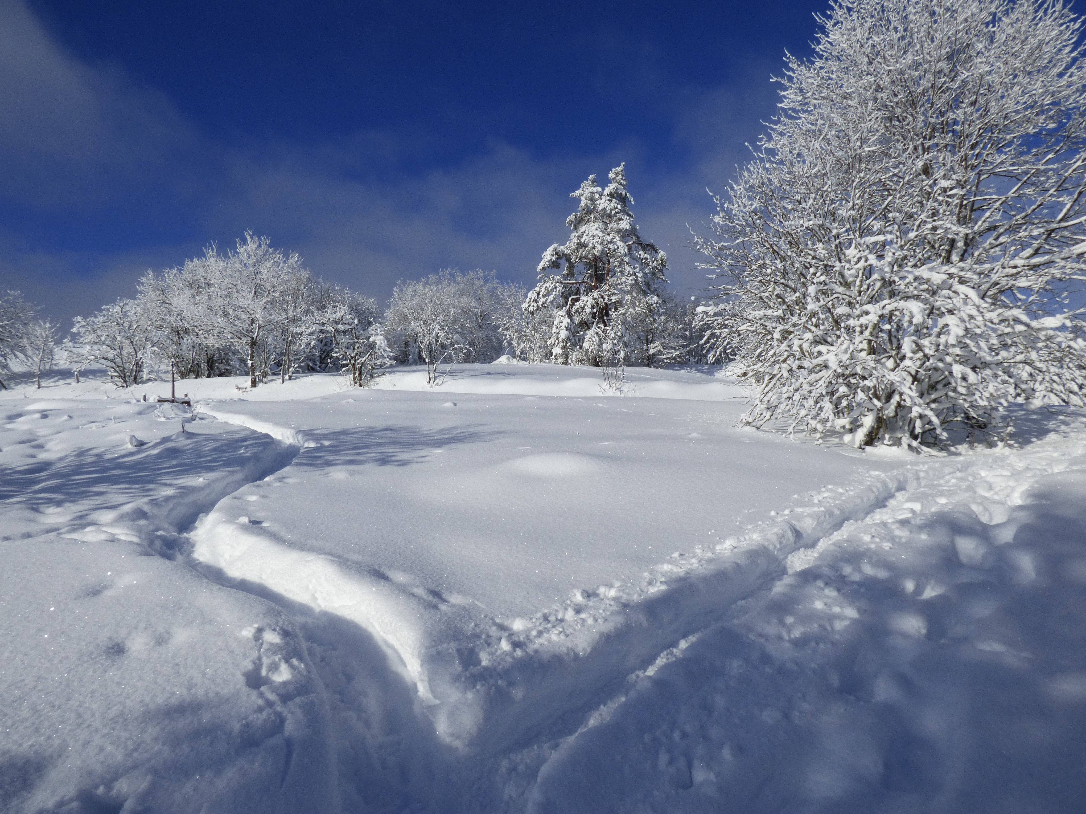 Photo n° 17 de la location